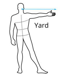 yard_2.png