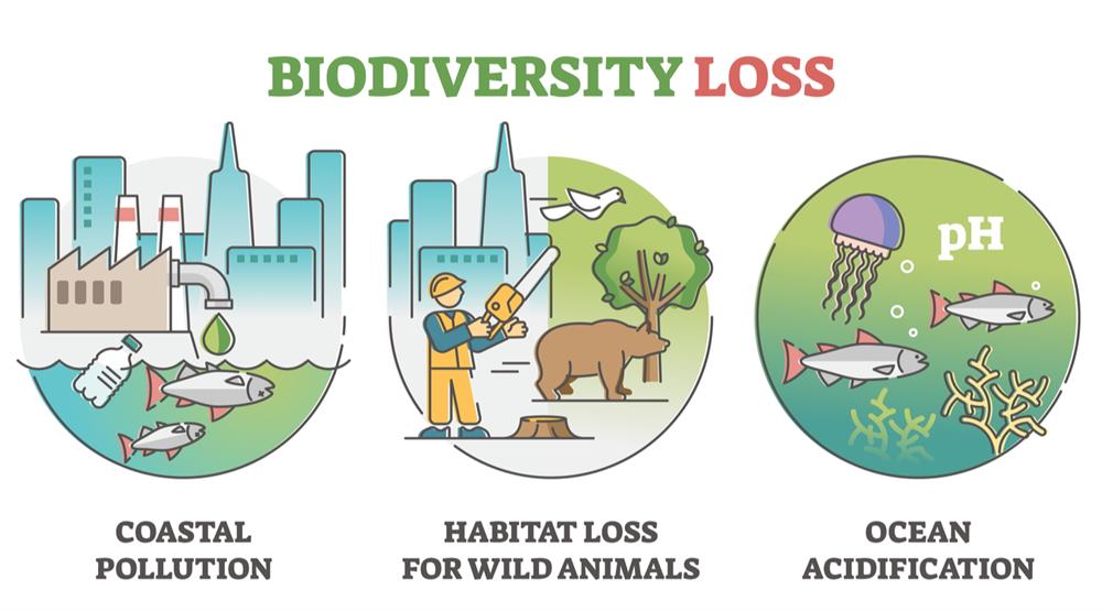 Conservation Of Biosphere — Lesson. Social Science, Class 9.