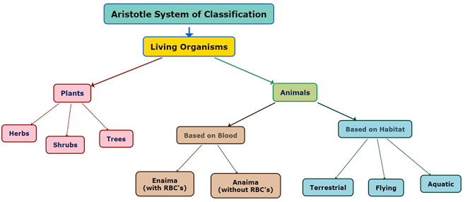 Biological Classification and Dichotomous key — lesson. Science State  Board, Class 7.