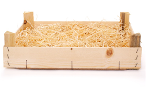 straw bed 2021-01-04 151026.png