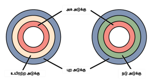 PPT (14).png