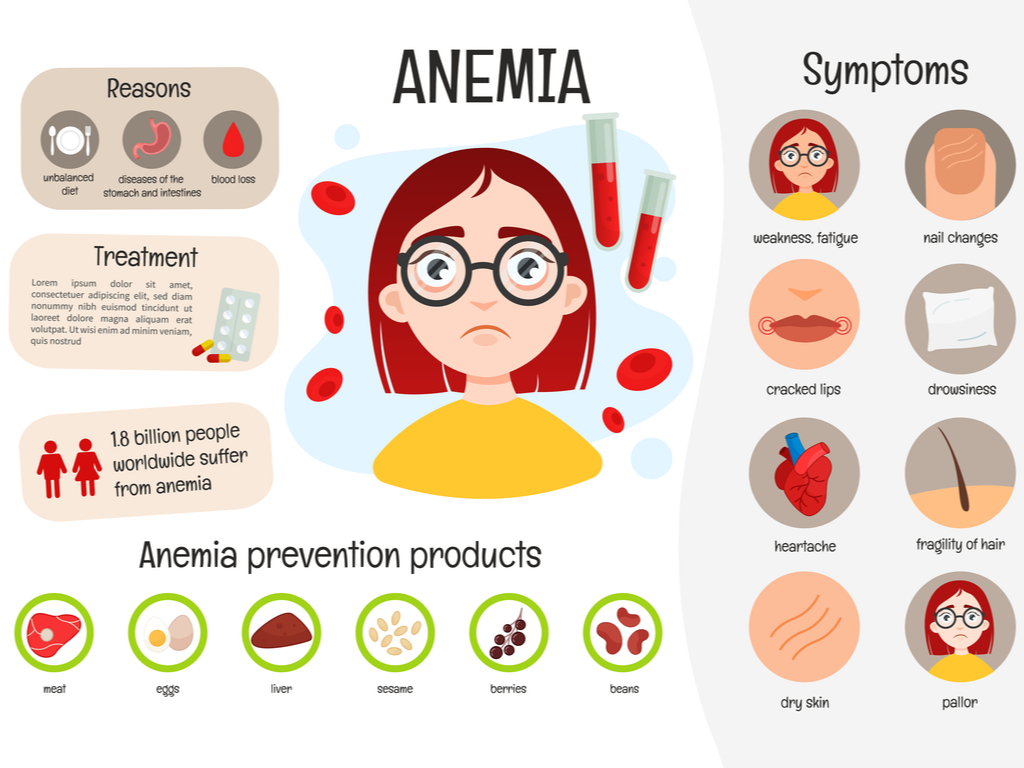 anaemia-lesson-science-state-board-class-7