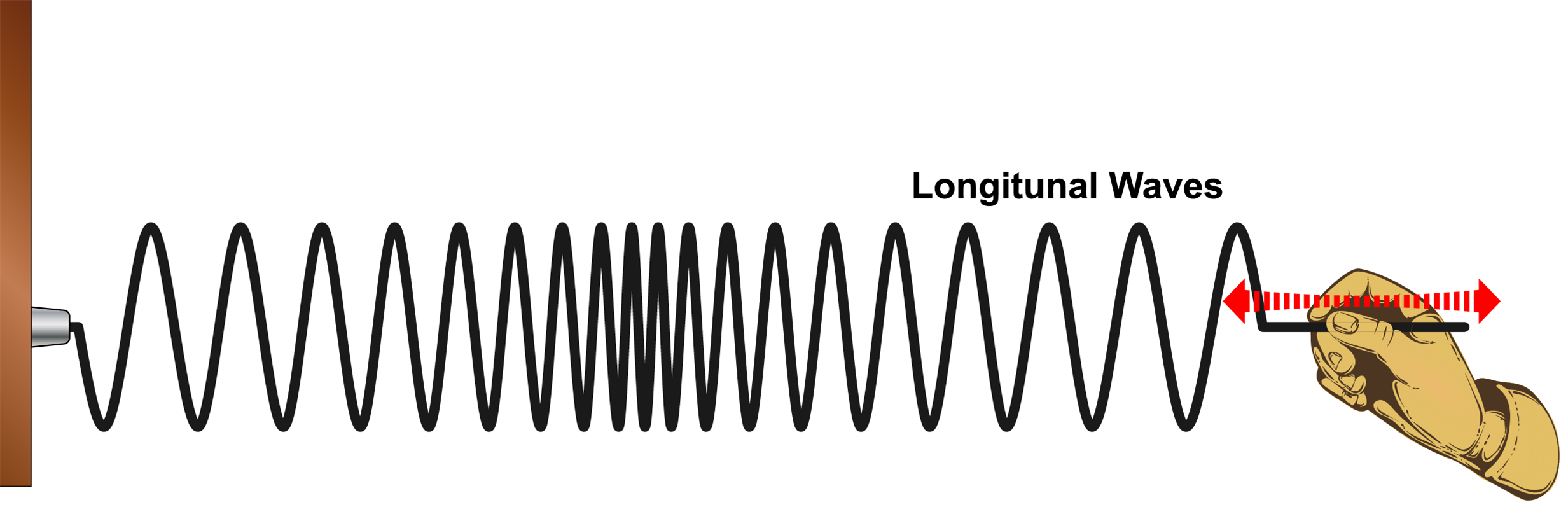 Types of mechanical waves — lesson. Science State Board, Class 8.