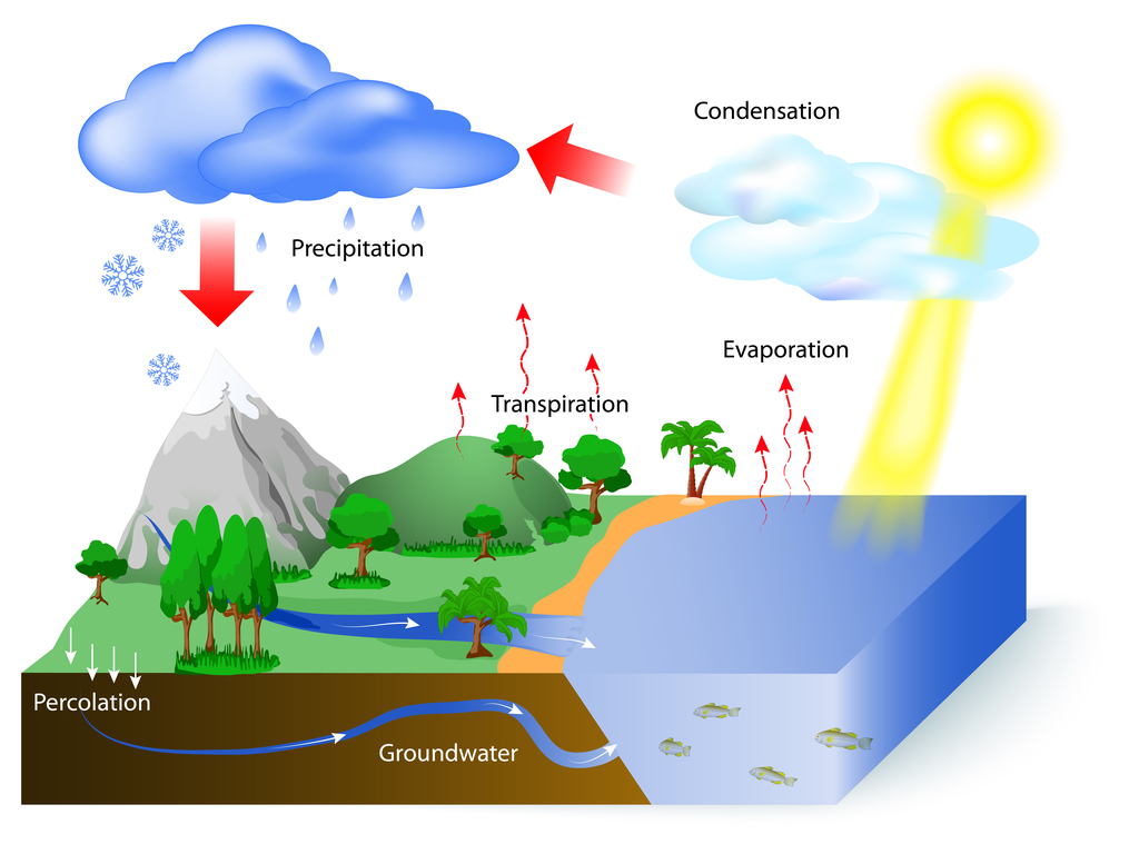 Hydrosphere and Hydrological cycle — lesson. Social Science, Class 9.