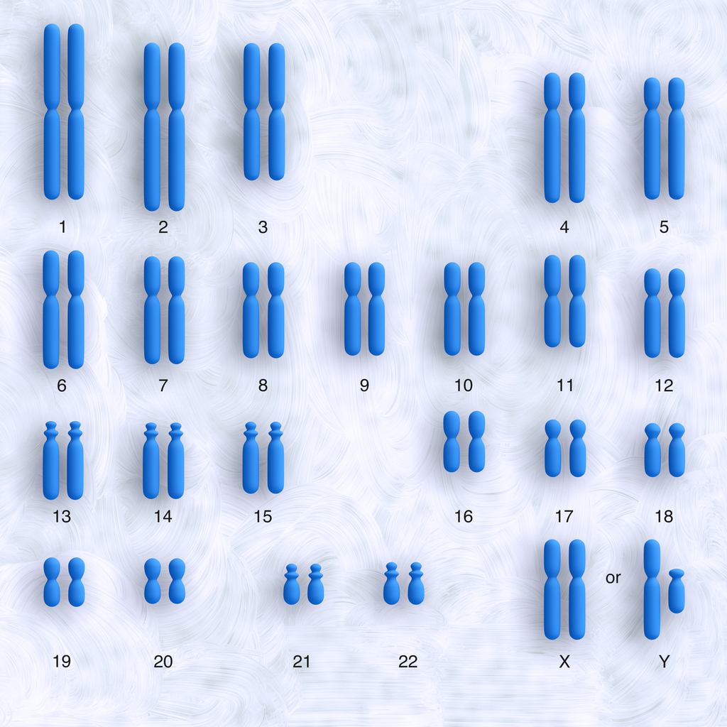 Karyotype — Lesson. Science State Board, Class 10.