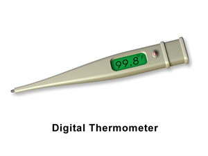 800px-Thermometer_(Digital).png