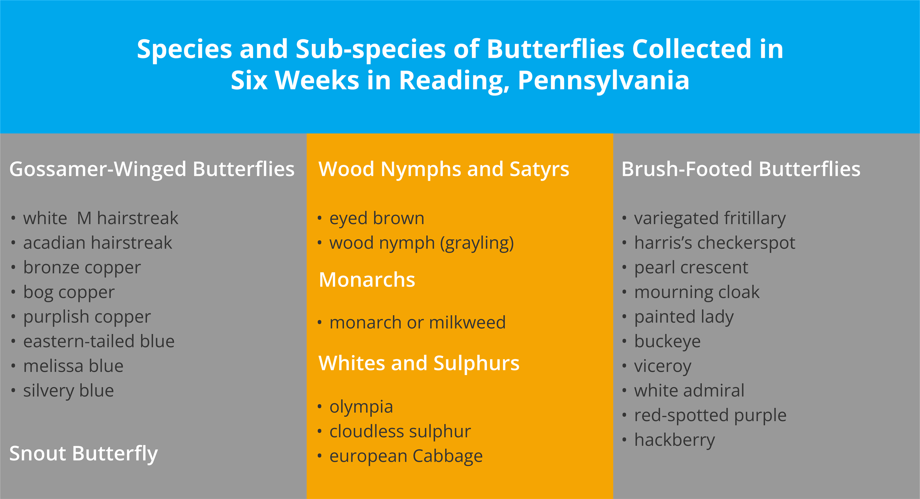 The Fetching Butterflies Leak: A Timeline Of Events - ctst9l6