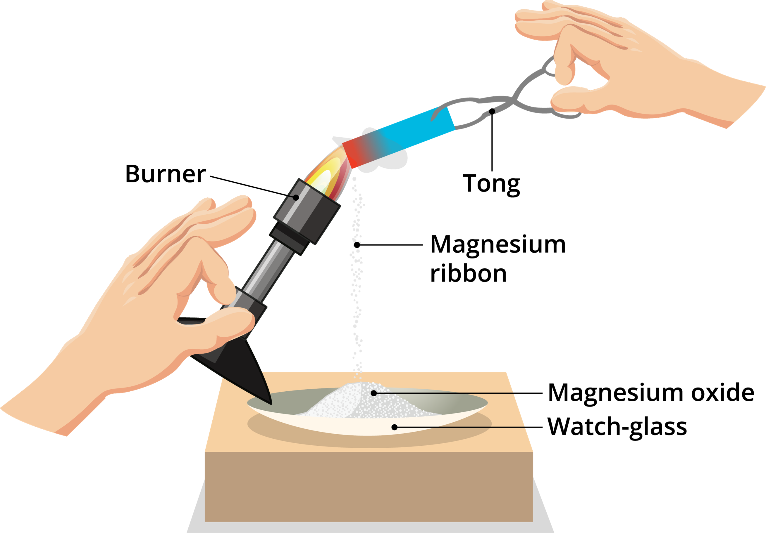 magnesium ribbon experiment class 10