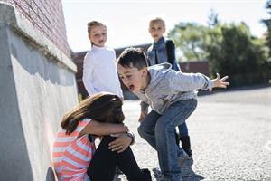 Kungshen english book 4 lesson 7 students fight bully in pink