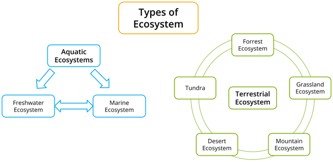 types of terrestrial ecosystem