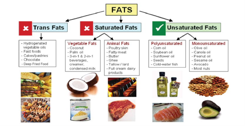 Carbohydrates, proteins, fats and water-soluble vitamins. — lesson ...