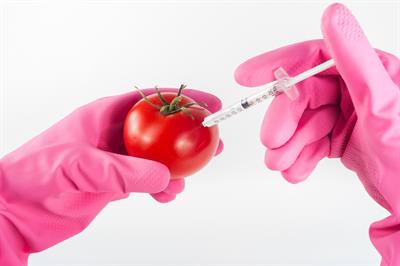 MaxPixel.net-Genetically-Food-Tomato-Injection-Modified-Genetic-1744952.jpg