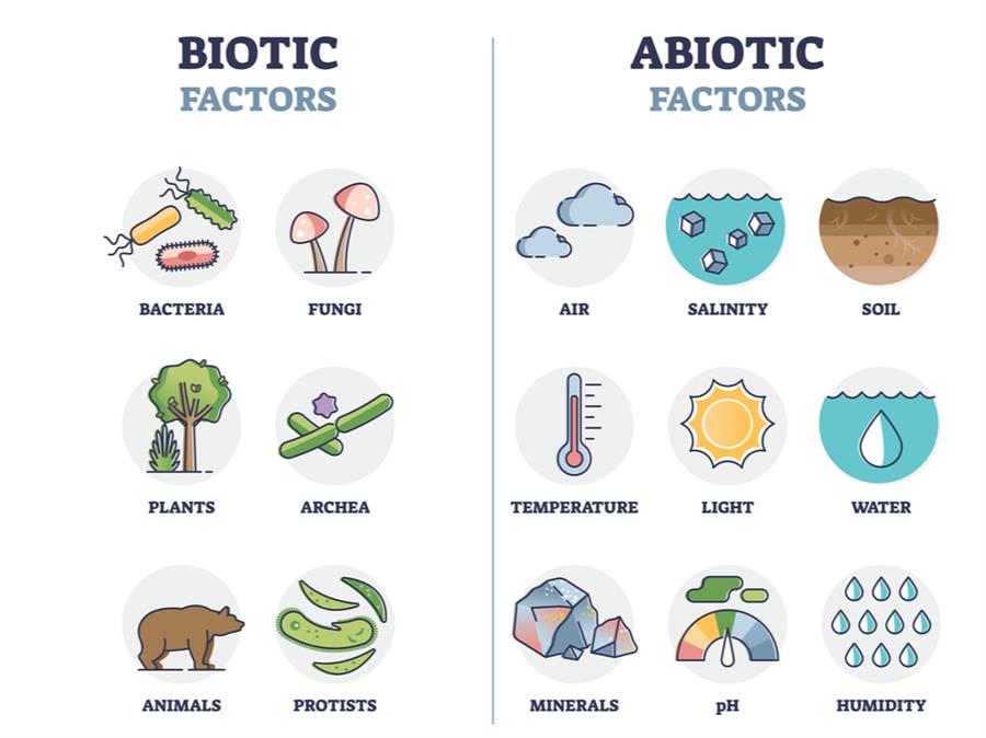 difference-between-biotic-and-abiotic-factors-biotic-vs-abiotic-factors