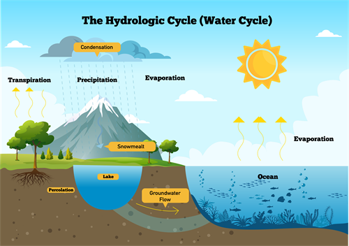 water cycle diagram for class 8