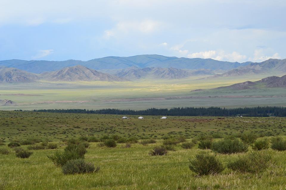 Temperate Grassland Biomes — lesson. Social Science, Class 9.