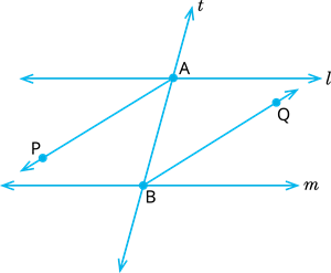 YCIND_240306_6084_lines and angles_14.png