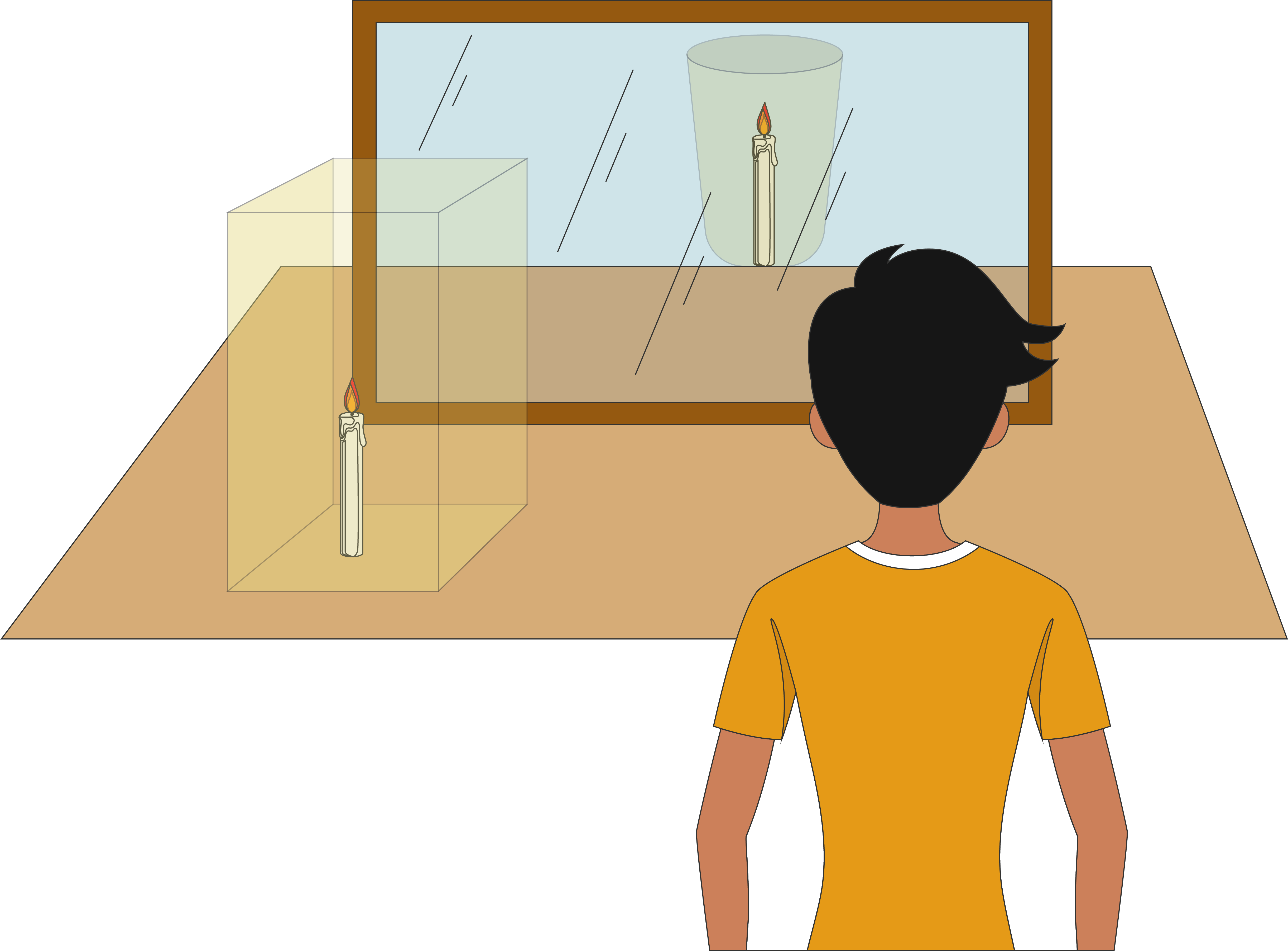 activity-ii-task-science-cbse-class-7