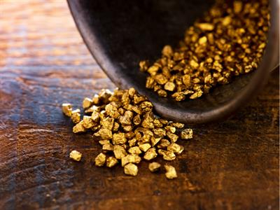 Raw Gold after washing - Minerals -Mining - North America - Yaclass.jpg