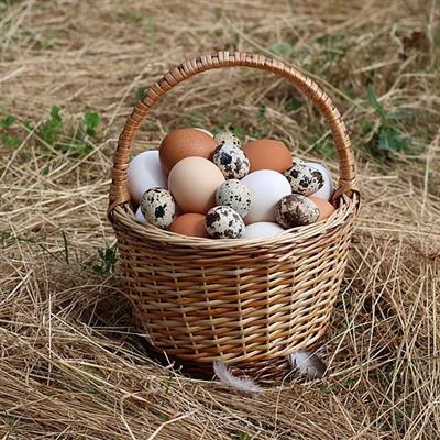 512px-Eggs_in_basket_2020_G1.jpg