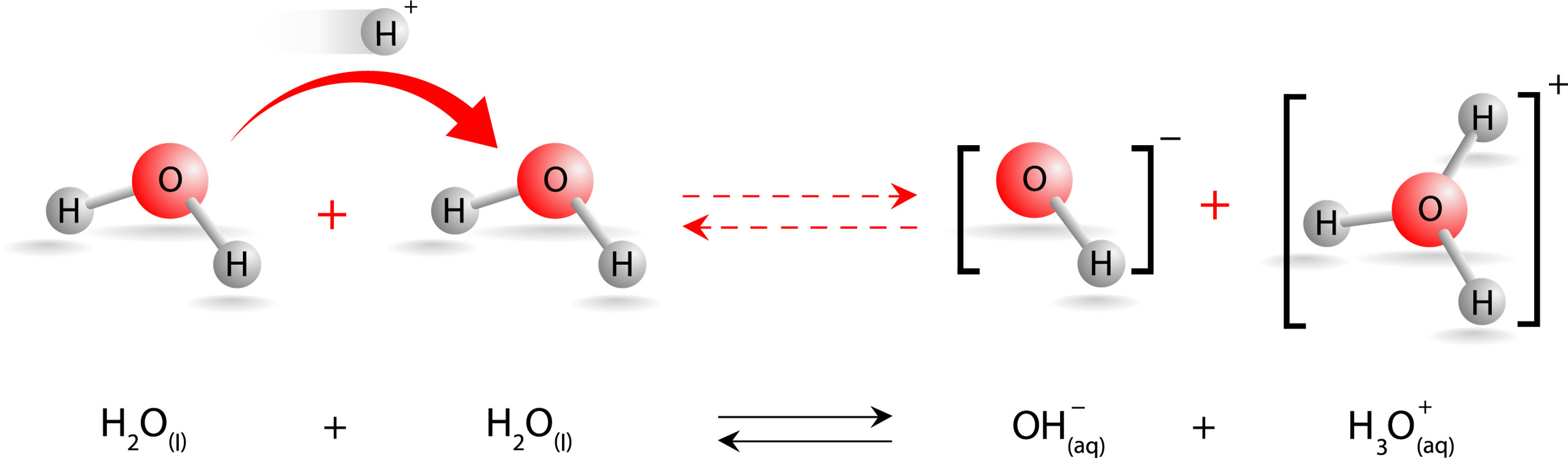 Ionic product of water — lesson. Science State Board, Class 10.