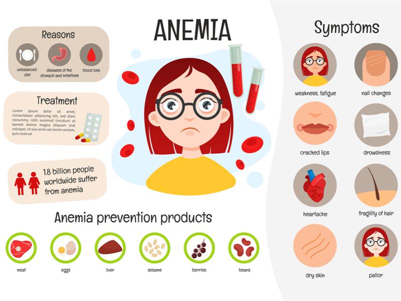 anaemia-lesson-science-state-board-class-7