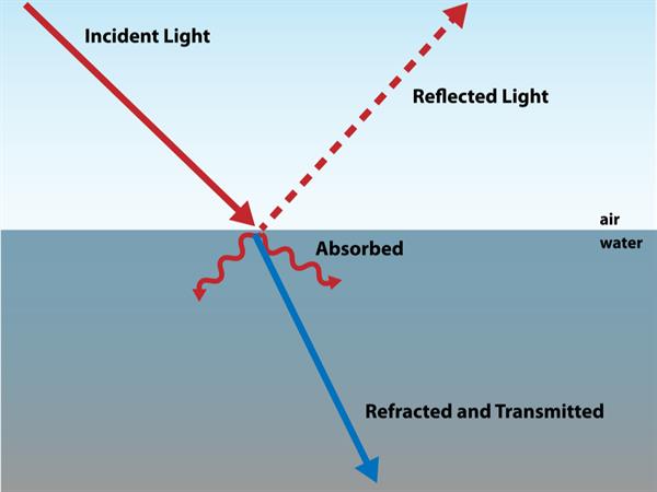 Visible of light — lesson. Science State Board, Class 8.