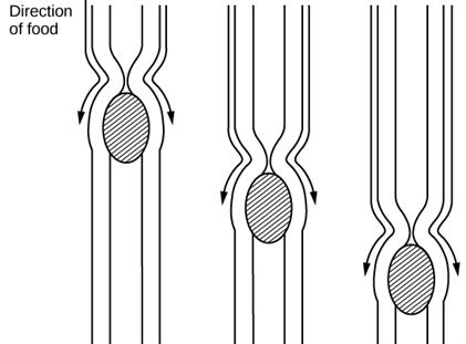 Figure_34_01_09.jpg