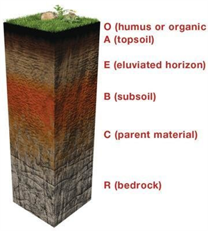 Typical-Soil-Profile1.png