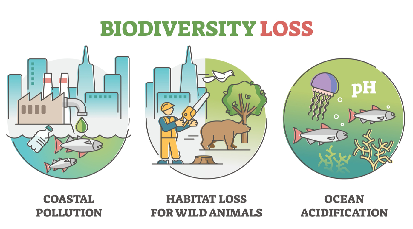 Conservation of Biosphere — lesson. Social Science, Class 9.