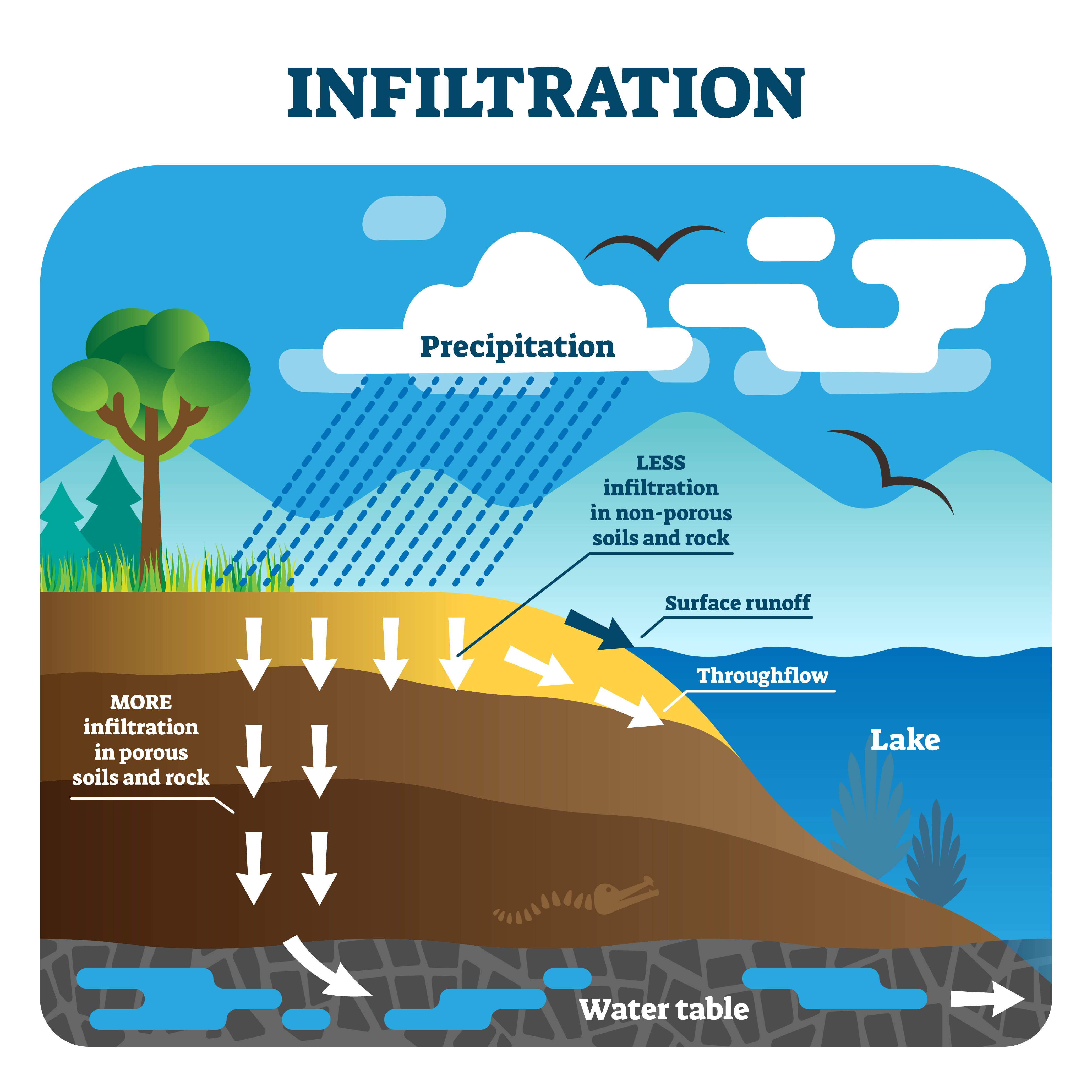 infiltration-and-percolation-lesson-social-science-class-8