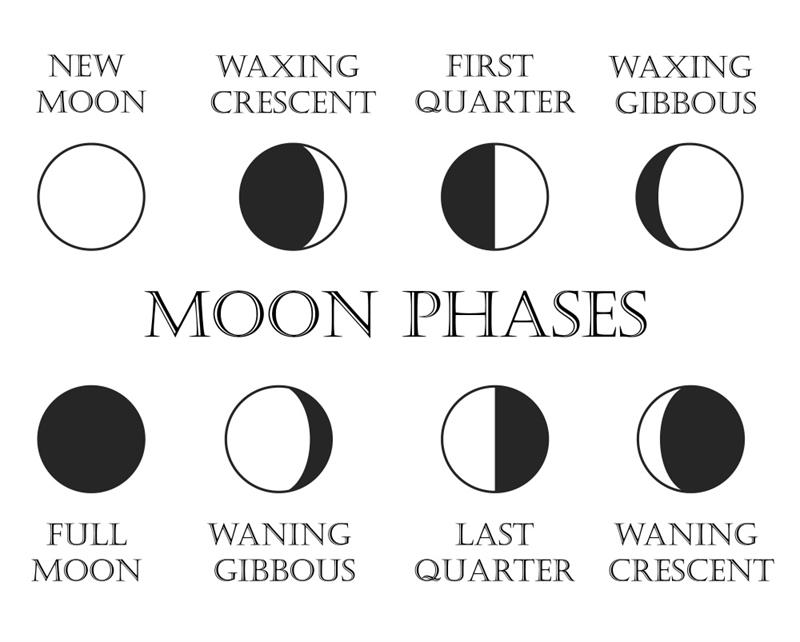 Geocentric model — lesson. Science State Board, Class 7.