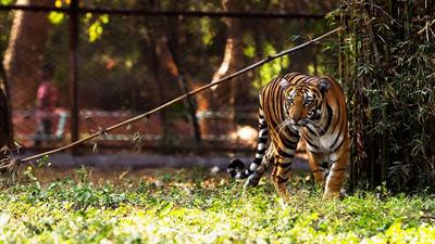 Nehru_Zoological_Park,_Hyderabad,_Telangana5.jpg