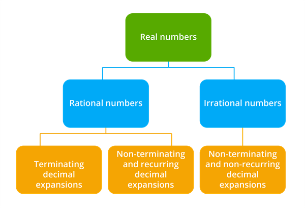 Real numbers_theory.png