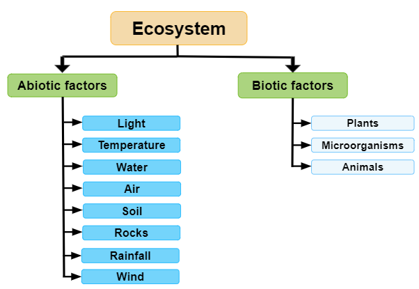what are some biotic components of an ecosystem
