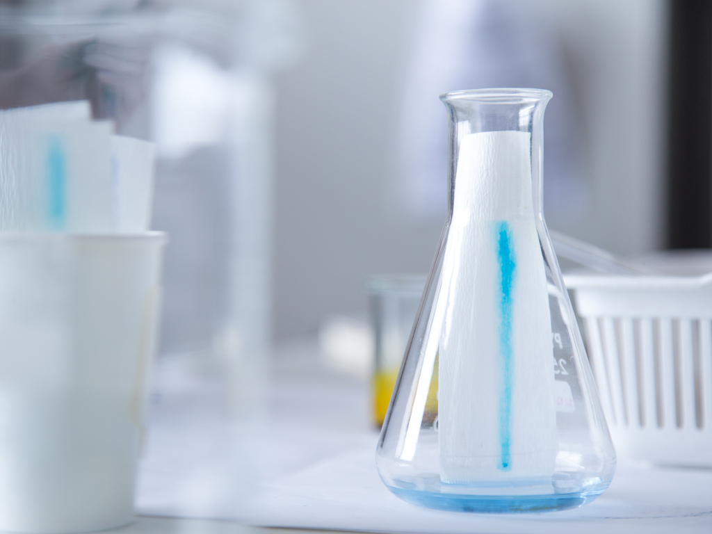 Chromatography — lesson. Science CBSE, Class 9.