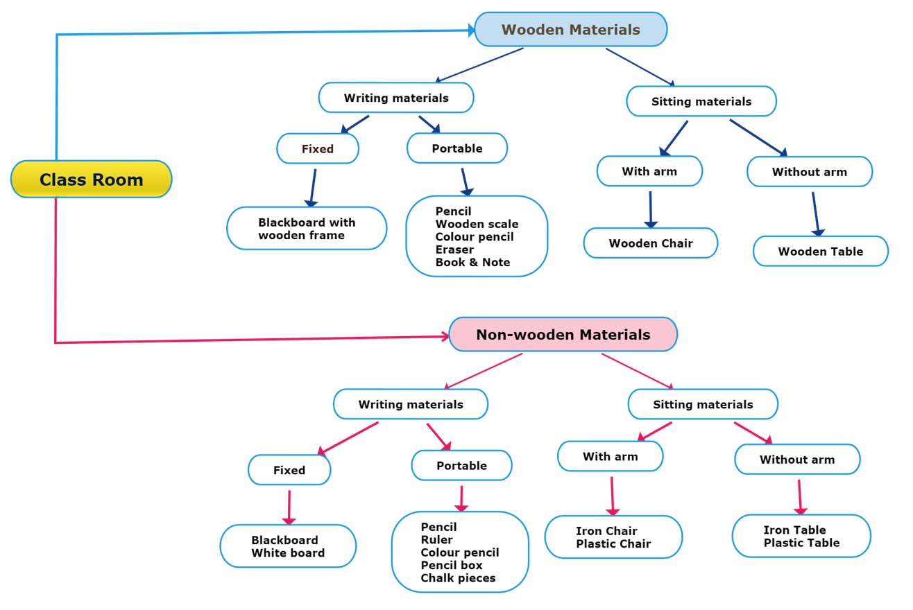 Biological Classification And Dichotomous Key — Lesson. Science State ...