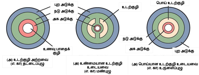 PPT (6).png