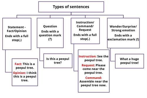 Sentences.png