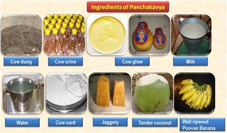 ingredients PANCHAKAVYA.jpg