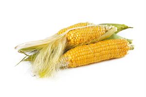 corn-1751321_1280.jpg