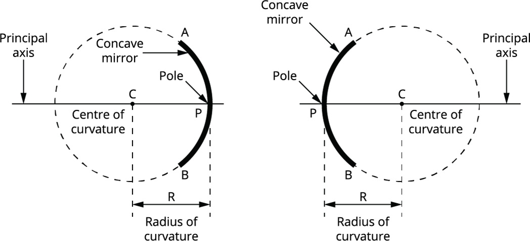 Important terms related to spherical mirrors — lesson. Science CBSE ...