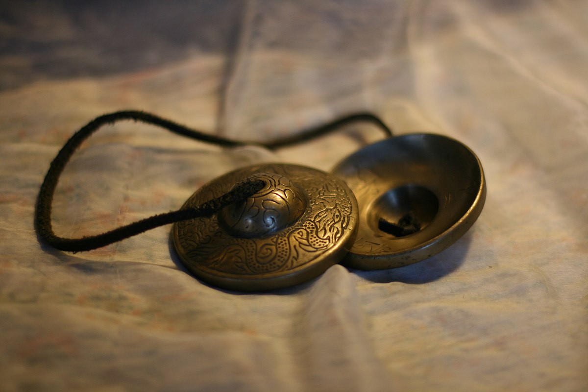 Vibrating part of musical instruments — task. Science CBSE, Class 9.