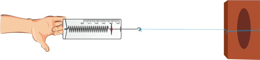 activity-vi-task-science-cbse-class-8