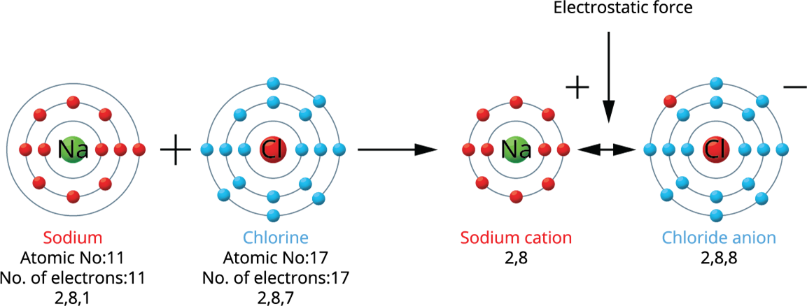 Formation of ionic bonding in NaCl and MgCl2 — lesson. Science State ...