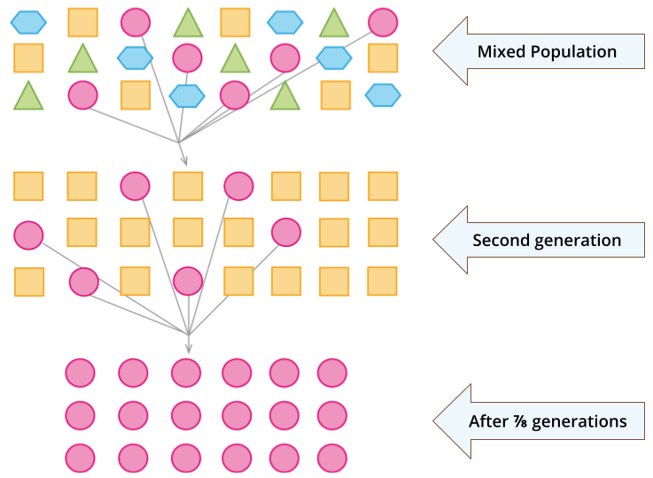 Methods of plant breeding for crop improvement — lesson. Science State