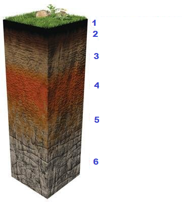 soil layer ques.png