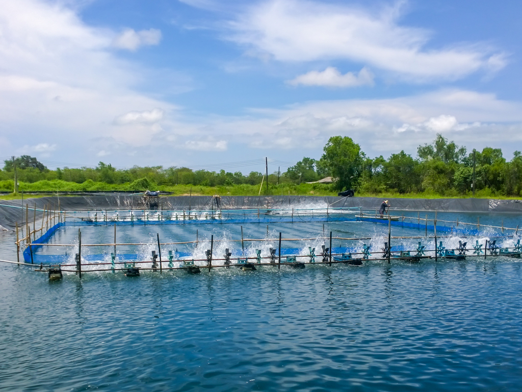 Ponds for fish culture — lesson. Science State Board, Class 9.