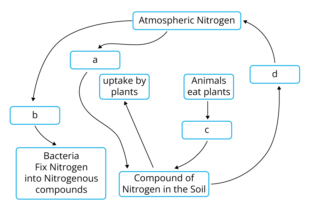 NCERT Exempler XXV — task. Science CBSE, Class 8.