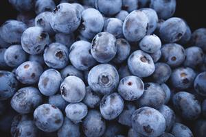 blueberries-690072_960_720.jpg