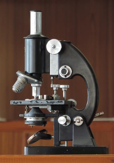 Compound_Microscope_(cropped).jpg
